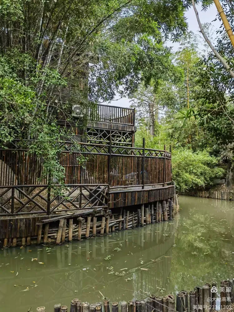 沙溪黄河宝树园203.12.10